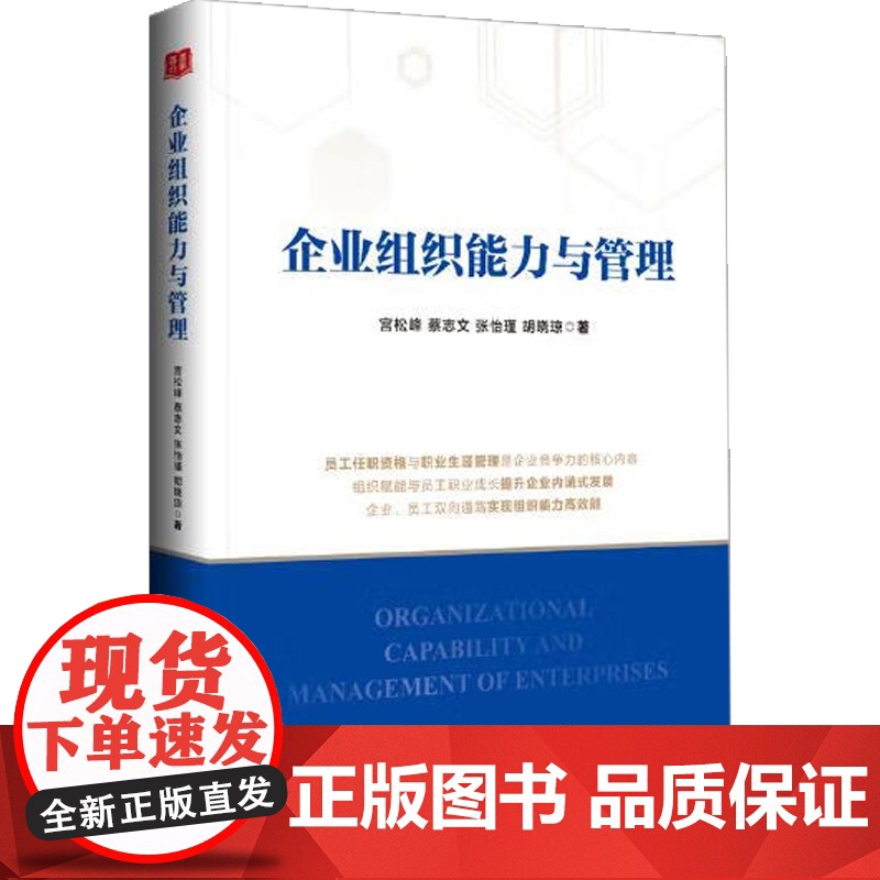 企业组织能力与管理 胡晓琼等 著 管理高清大图