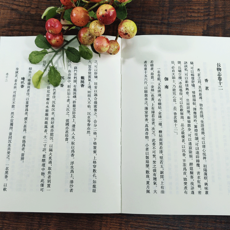 [正版]长物志 艺文丛刊第一辑 文震亨 竖版繁体字书籍/中国古代生活丛书/随园食单补证袁枚/中国国学经典书籍/杂学高清大图