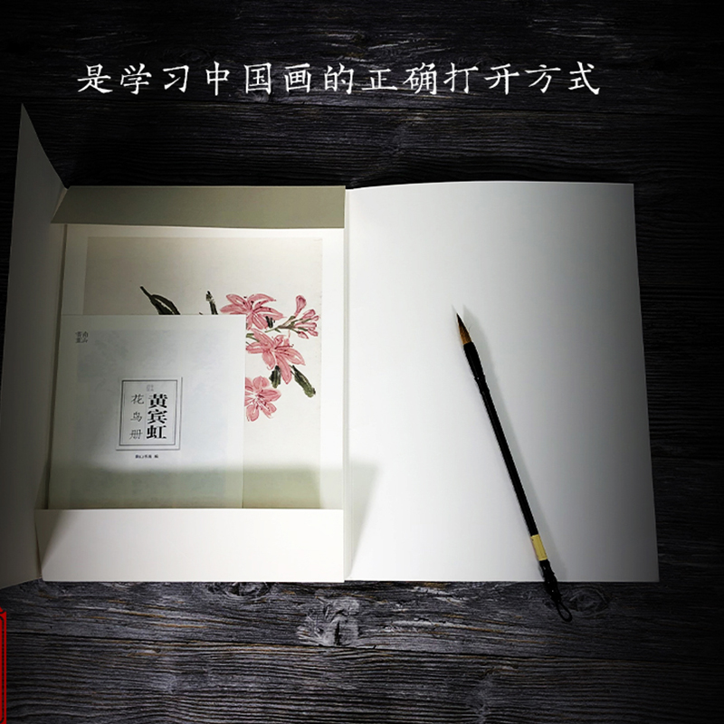 [正版]黄宾虹花鸟册南山册页丛书 南山书画历代名家册页鉴赏临摹画册 初学者临摹欣赏装饰素材中国画花鸟画技法作品集水墨绘高清大图