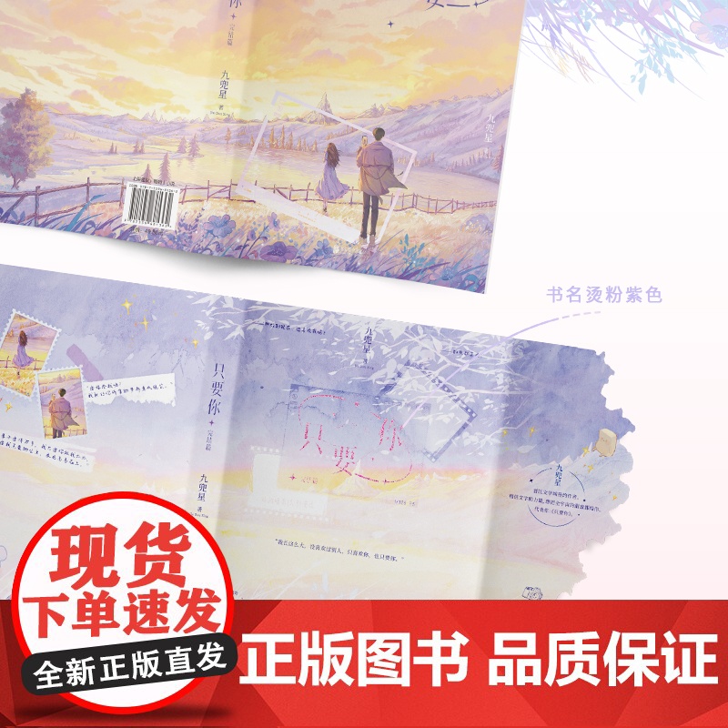只要你.完结篇 小说 九兜星 甜宠温馨甜蜜言情小说实体书 青春文学校园 北京联合出版社高清大图