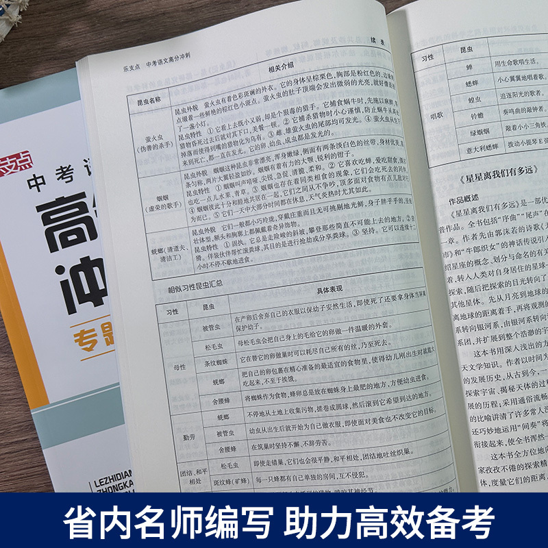 中考语文高分冲刺 浙江省 [正版]乐支点 中考语文高分冲刺 浙江省中考统考适用 九年级初三中考语文知识点大全中考必刷题真