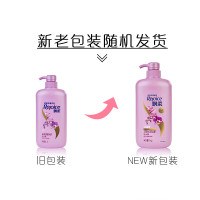 飘柔洗发水日常护理双效水润洁顺型1KG 控油去屑止痒洗发露洗头水膏