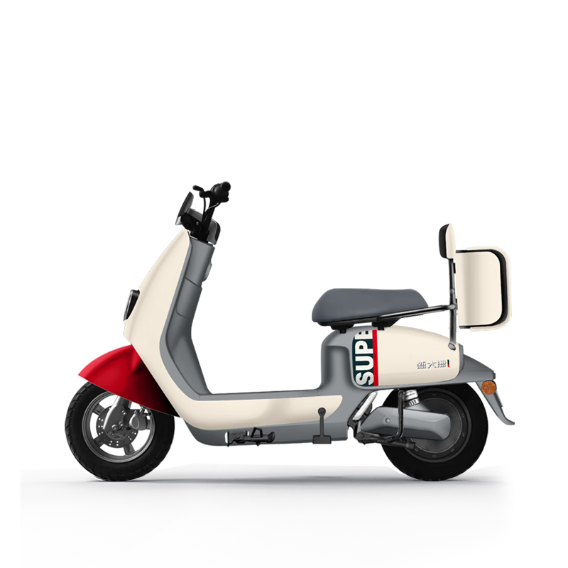 派乐/Palla电动车 BQ1 成人代步48V20Ah锂电池 高颜值电动自行车 本彩米白/幽石绿/满江红
