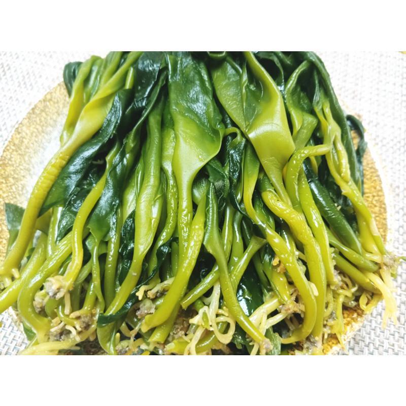 博多客 野生海带苗2斤 霞浦新鲜特级嫩海带芽凉拌菜