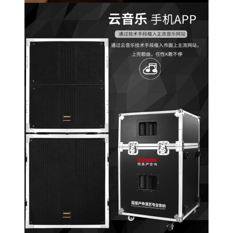 特美声(TEMEISHENG) GD18-04S双10吋线阵舞台音响套装18吋大功率专业户外婚庆演出 GD18-04S