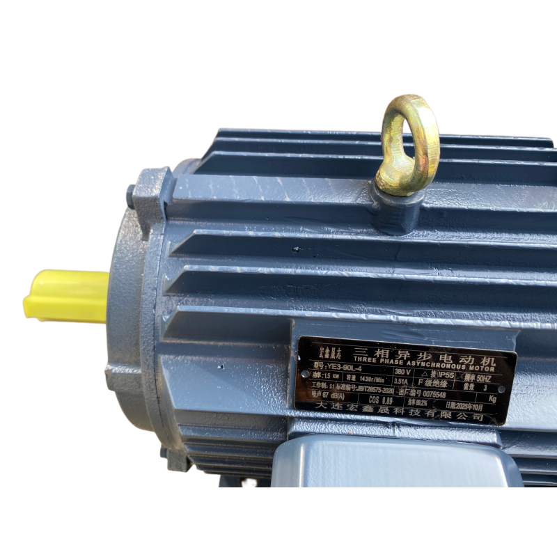 宏鑫晟志 三相异步电动机 YE3-90L-4-380V-3.51A 单位:台高清大图