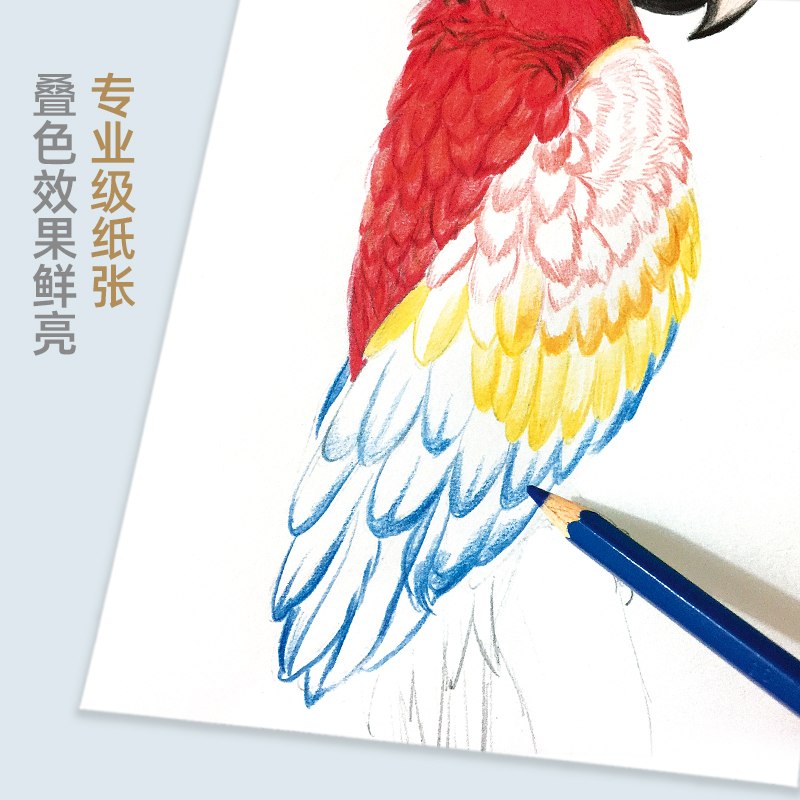 [正版]绘经典《彩铅本》40张16开绘画纸 a4彩色铅笔素描美术本 高白纸张 色彩亮丽 层次丰富 手绘画画图画本