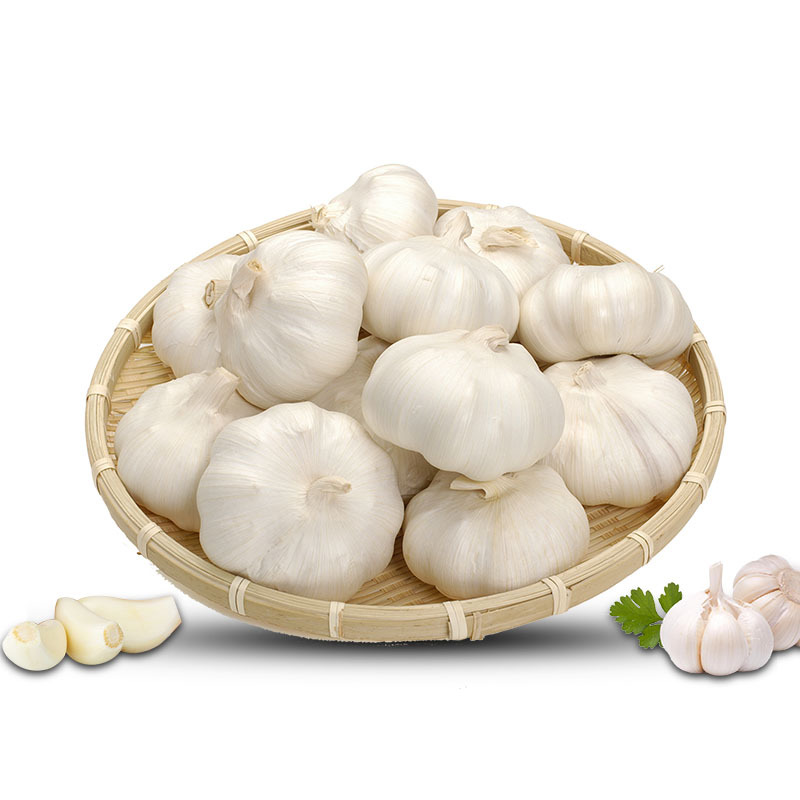 晟秾食品 新鲜干大蒜头5斤装 新蒜农家蔬菜低价零售批发红皮大蒜山东干蒜头味正新鲜