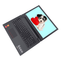 联想（Lenovo）扬天V110 15.6英寸商务家用轻薄笔记本电脑（英特尔处理器N3350 8G内存 500GB+128GB）定制玛瑙黑