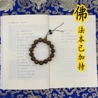 《印》金刚密乘大yuian满~突破轮回之道 丹贝旺旭仁波切