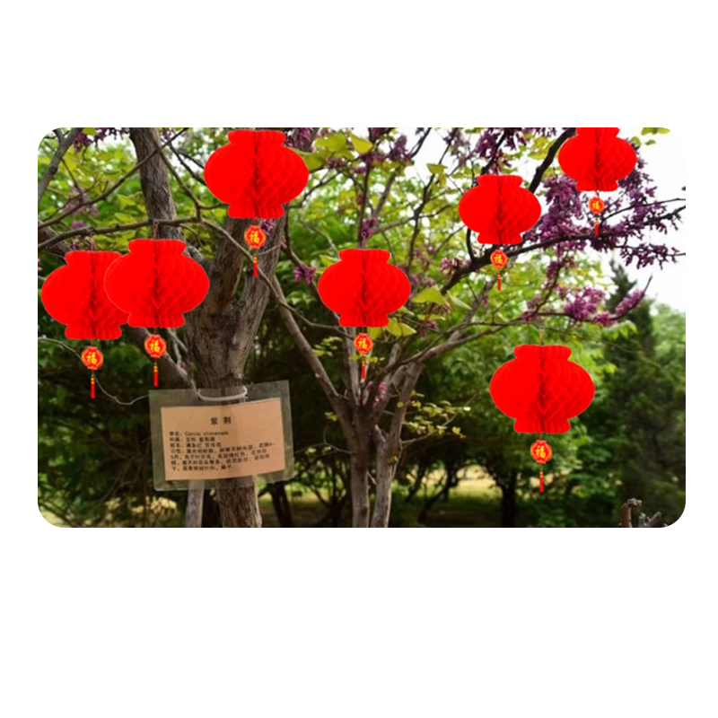 锦瑞星 蜂窝灯笼 50cm 个高清大图