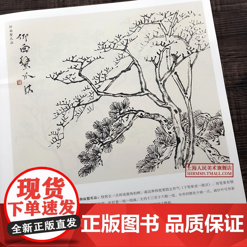 正版 贺天健山水树石画谱 名家课徒稿临本 花鸟山水树石绘画技法教学集 初学者临摹 水墨绘画艺术教程书籍 上海人民美术高清大图