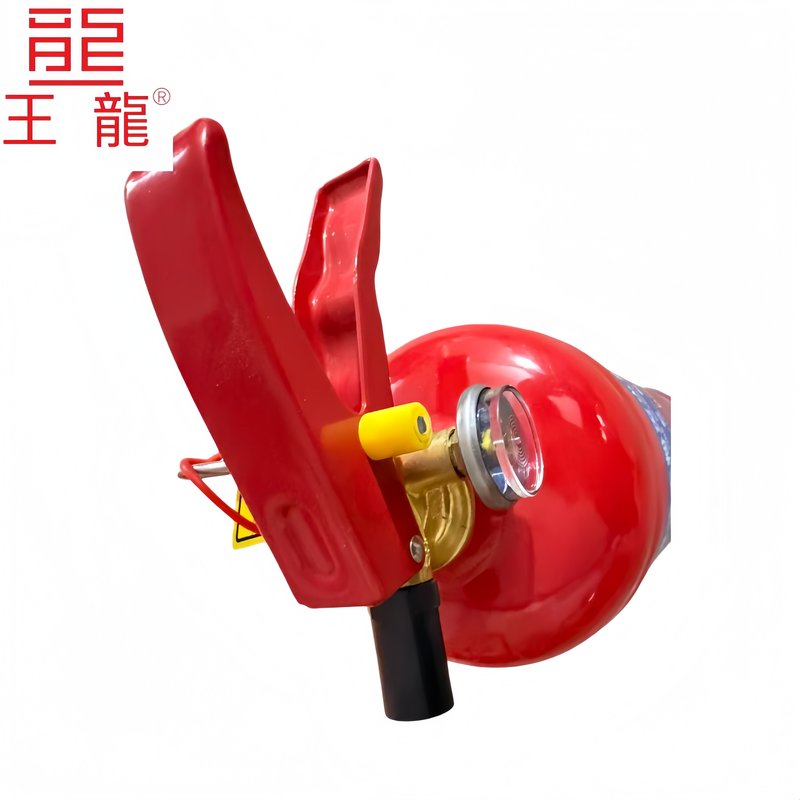 王龍 手提式干粉灭火器 2千克 新国标 具高清大图