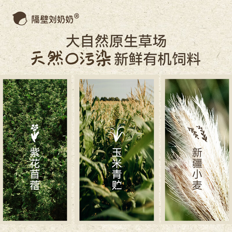 隔壁刘奶奶 新疆有机纯牛奶 180ml*10盒高清大图