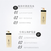 阿道夫 (ADOLPH) 修复洗发水 500g