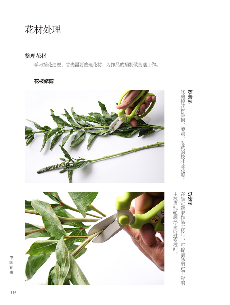 [醉染正版]字里行间 生活-中国花事 花卉鉴赏图鉴 养花 插花艺术书籍 图册花卉植物图鉴书籍大全 花艺书籍 生活居家花卉高清大图