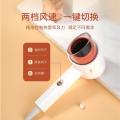 雷瓦（RIWA）500w小功率电吹风机宿舍迷你速干恒温多档温控高速吹发造型RC-7105白_594