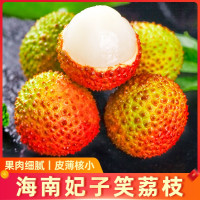 精品A果海南妃子笑荔枝5斤装应季自营生鲜热带水果新鲜整箱时令新鲜水果顺丰速运时令水果