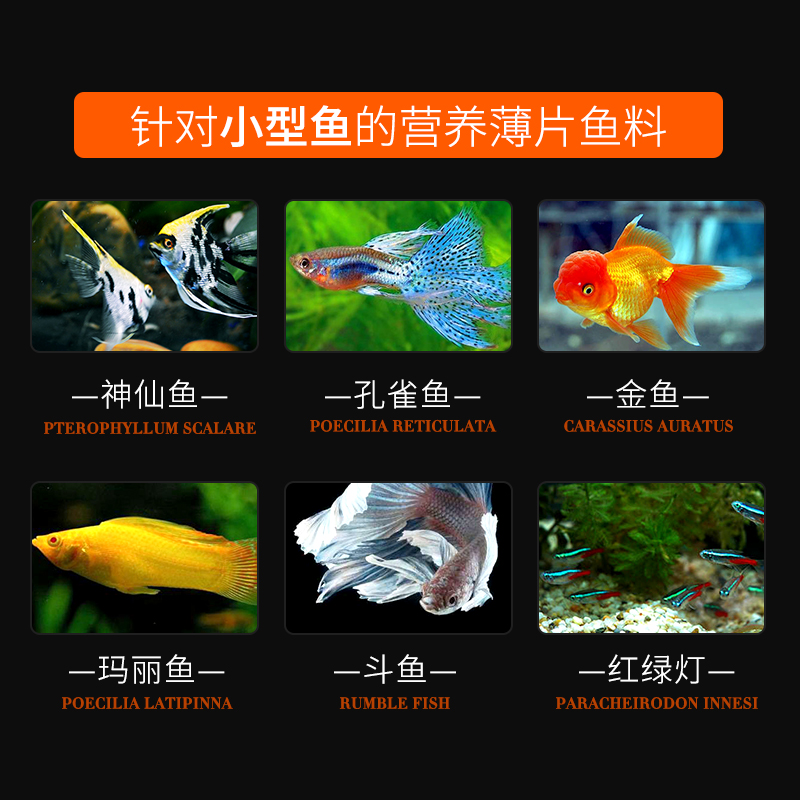 薄片鱼食小型鱼薄片鱼粮螺旋藻增艳热带金鱼孔雀斗鱼红绿灯易吸收高清大图