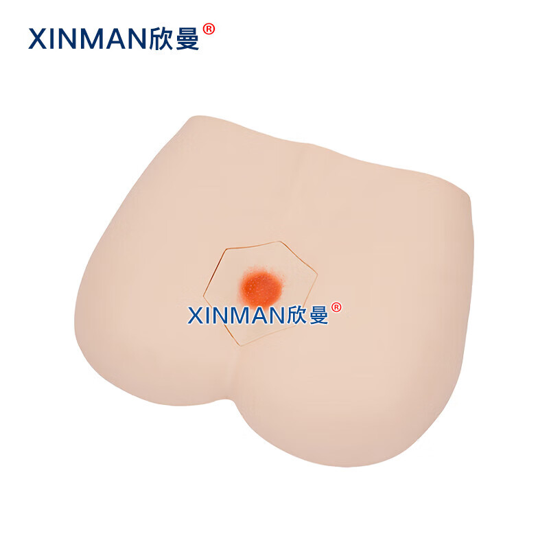 欣曼科教 阶段褥疮护理模型 压疮护理仿真模型XM-H91高清大图
