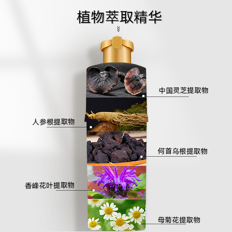 北京同仁堂植物一洗黑自然黑纯女男士白发染黑发自己在家里染头发剂不沾头皮不伤发国货草本泡泡染发膏
