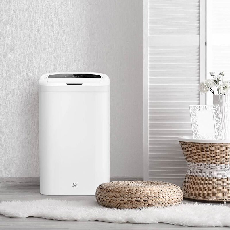 小米有品 乐秀除湿机 家用卧室 小型静音抽湿机 除湿量10L 辅助干衣 WS1 1台/箱 白色