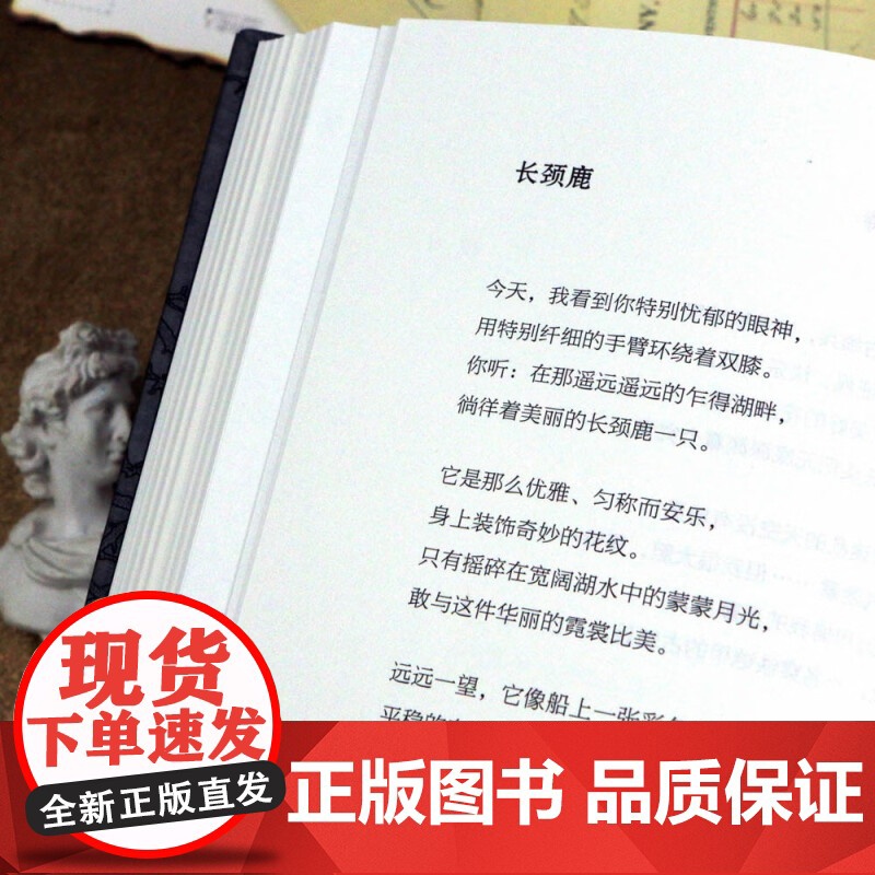 一切都像在拯救叶赛宁 江苏凤凰文艺出版社 后浪正版书籍高清大图