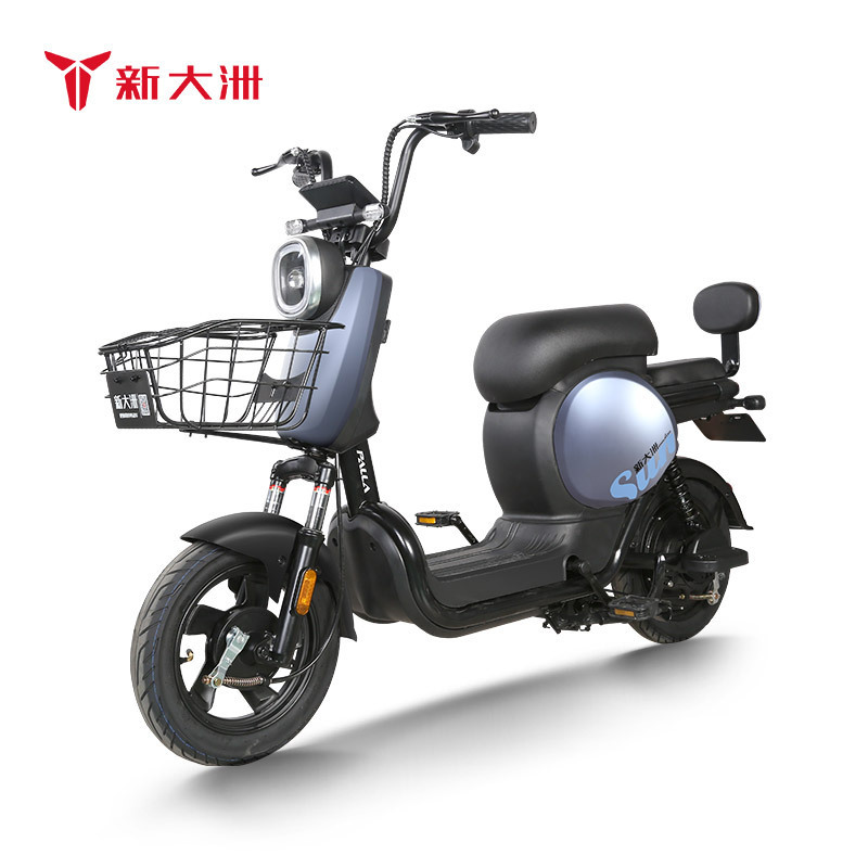 新大洲PALLA电动车 新国标48V24AH锂电池续航<80km电瓶车代步车电动自行车 K9(大客户专拍)