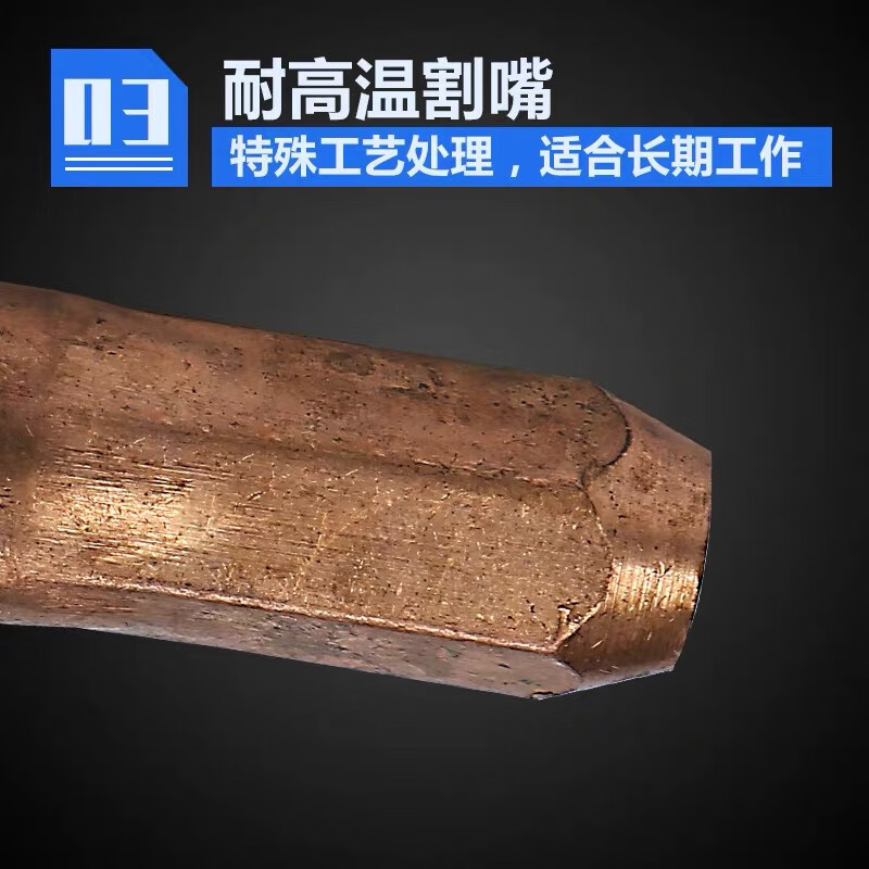 长城精工 割嘴乙炔液化气割枪割嘴g01-300型环形型梅花割炬咀2#2.2 421555