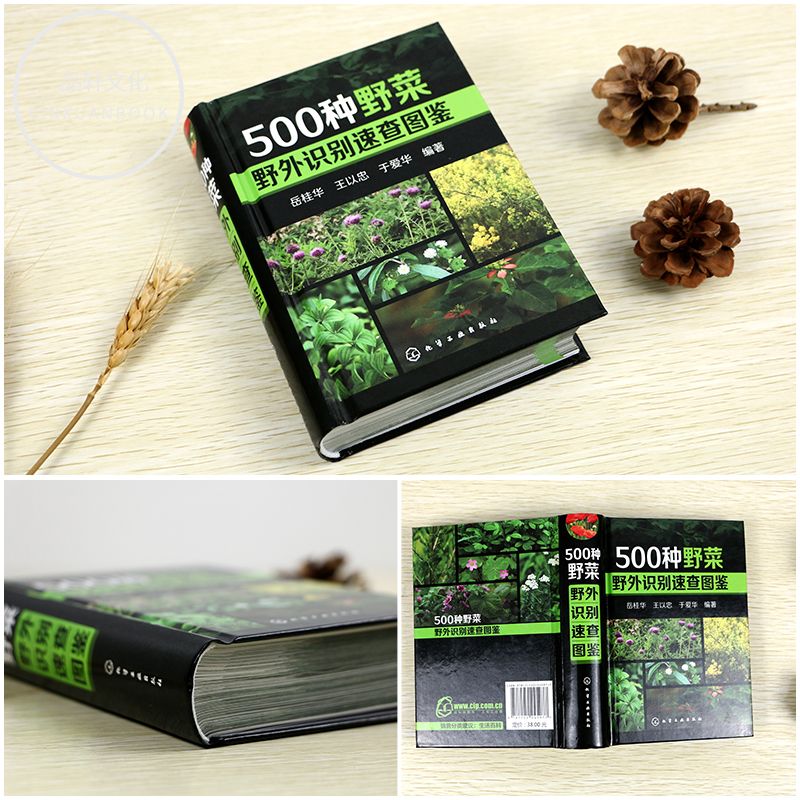 [醉染正版]正版 500种野菜野外识别速查图鉴 生活百科书籍 野生植物花草识别图解书籍 认识身边常见植物介绍书 植高清大图