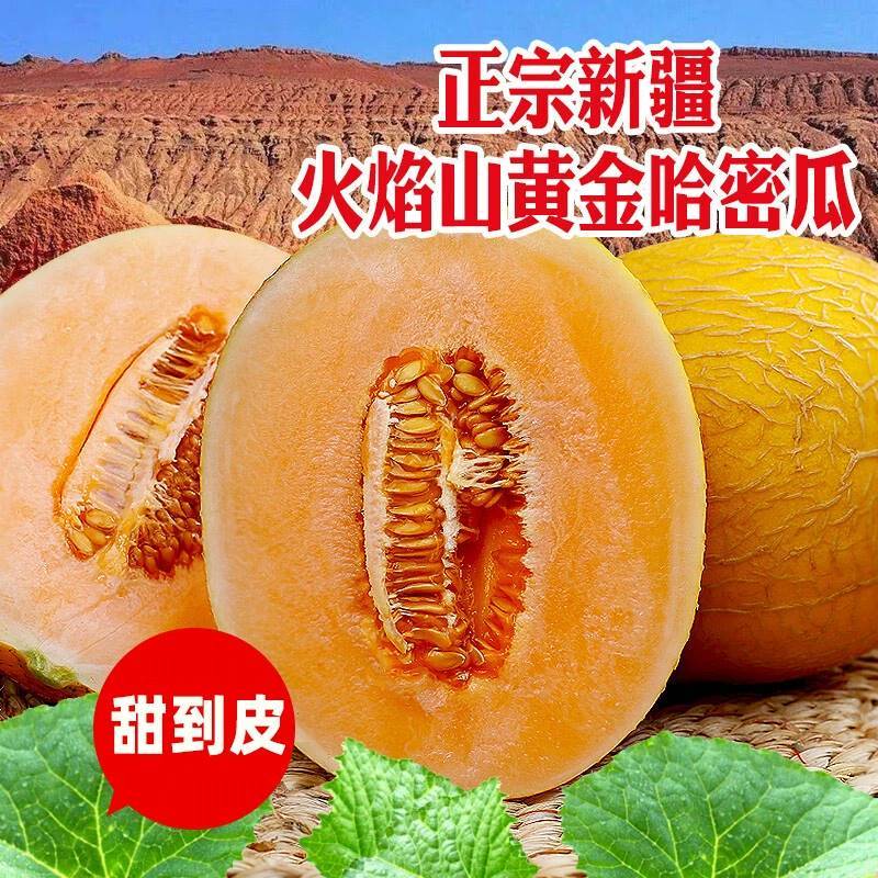 [苏鲜生]新鲜黄金哈密瓜 致爱密瓜 带箱3斤 1-2枚装 新鲜水果黄金哈密瓜应当季网高清大图