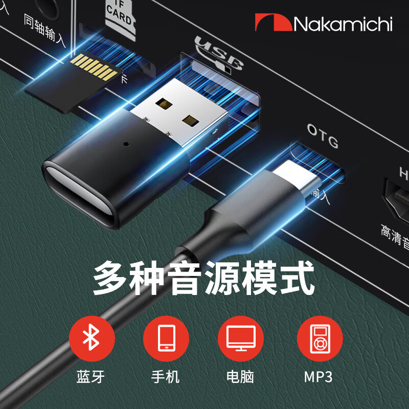 Nakamichi中道 家庭ktv音响卡拉ok直播广场舞电视k歌家用户外蓝牙音箱低音炮乐队吉他音箱 ECHO601