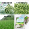 兴兴文提摩西草兔子牧草豚鼠粮草龙猫提摩西多省500克3袋