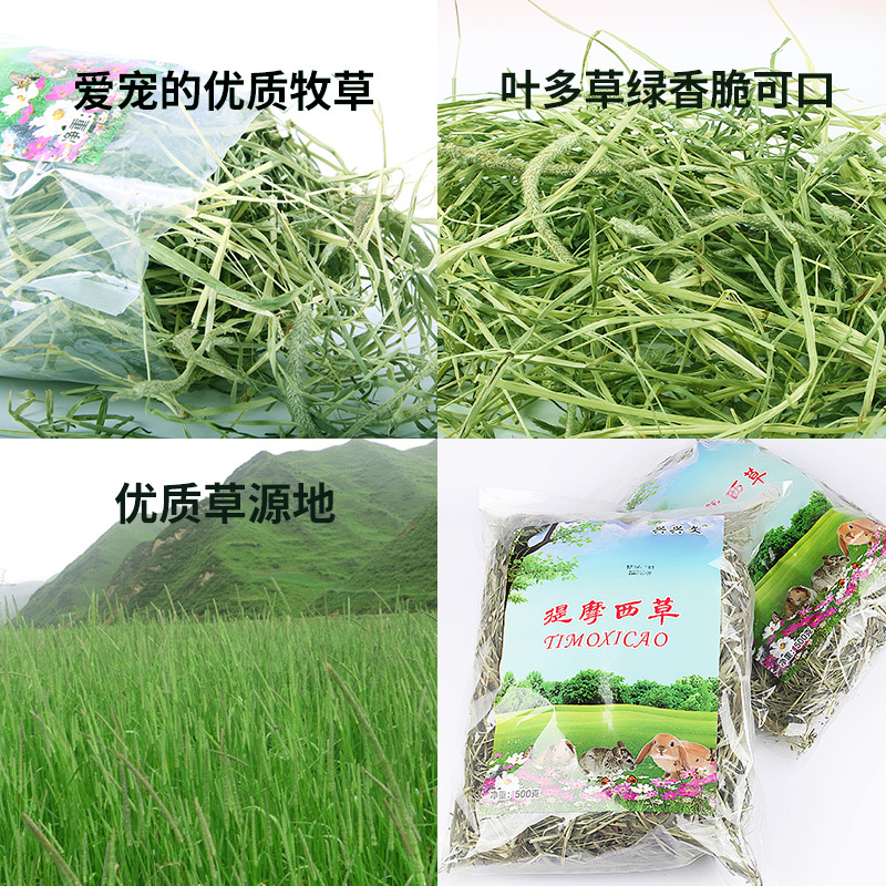 兴兴文提摩西草兔子牧草豚鼠粮草龙猫提摩西多省500克3袋