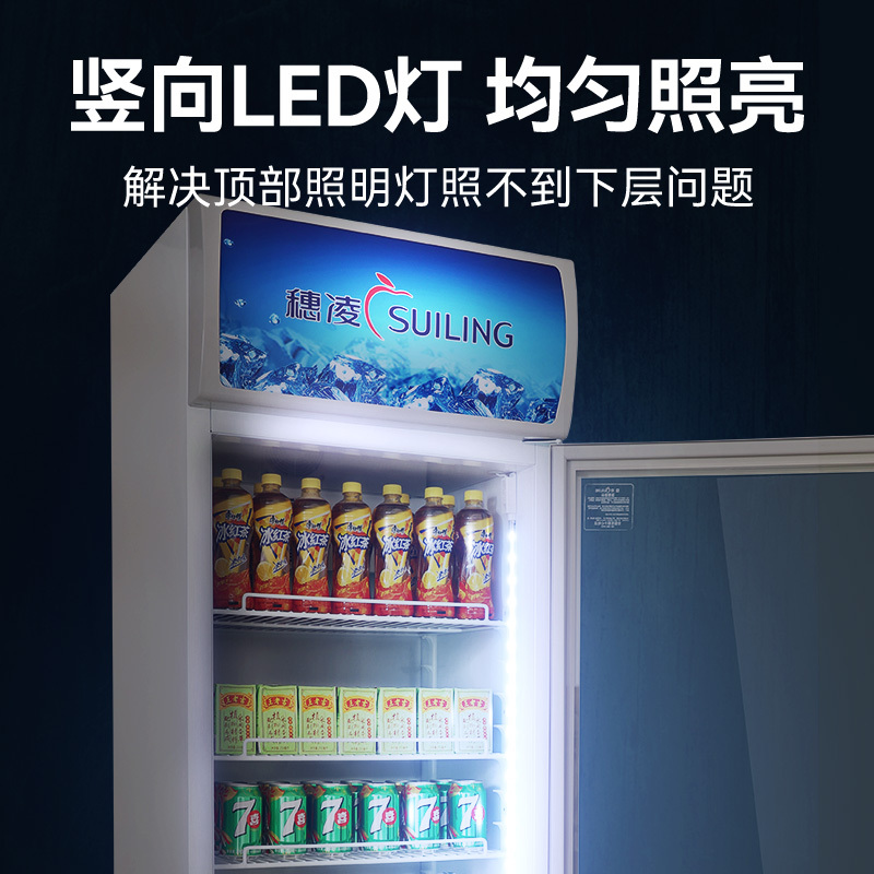 穗凌(SUILING) LG4-305FE商用立式展示柜饮料柜汽水矿泉水柜风直冷速冻冷藏双层玻璃 一级能效[新款上市]