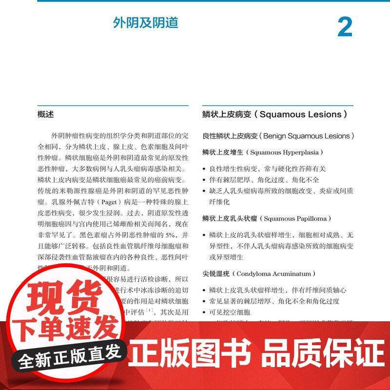 妇科病理术中冰冻诊断图谱 妇科医学 妇科肿瘤治疗 病理 临床特征 北京科学技术高清大图