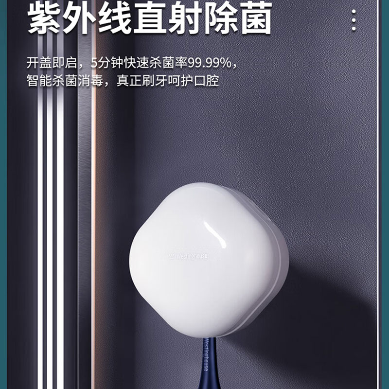 西屋电动牙刷 WT-508高清大图