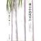 11我心中的风琴声978720105474222