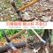 轨道钢重型柴镐(单头) 农用工具挖笋专用锄头挖竹笋神器镐斧两用锄家用挖土种菜种地农具