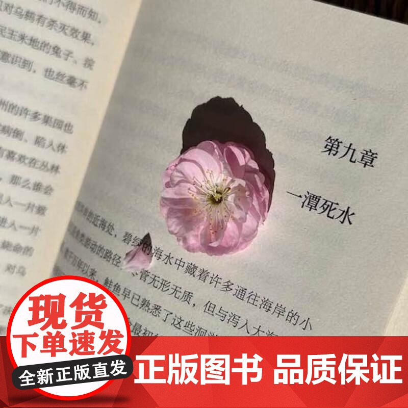 寂静的春天 蕾切尔·卡森 中文分级阅读 九年级 全译本 科普 文学 环境保护 科普 DDT 杀虫剂 果麦文化高清大图