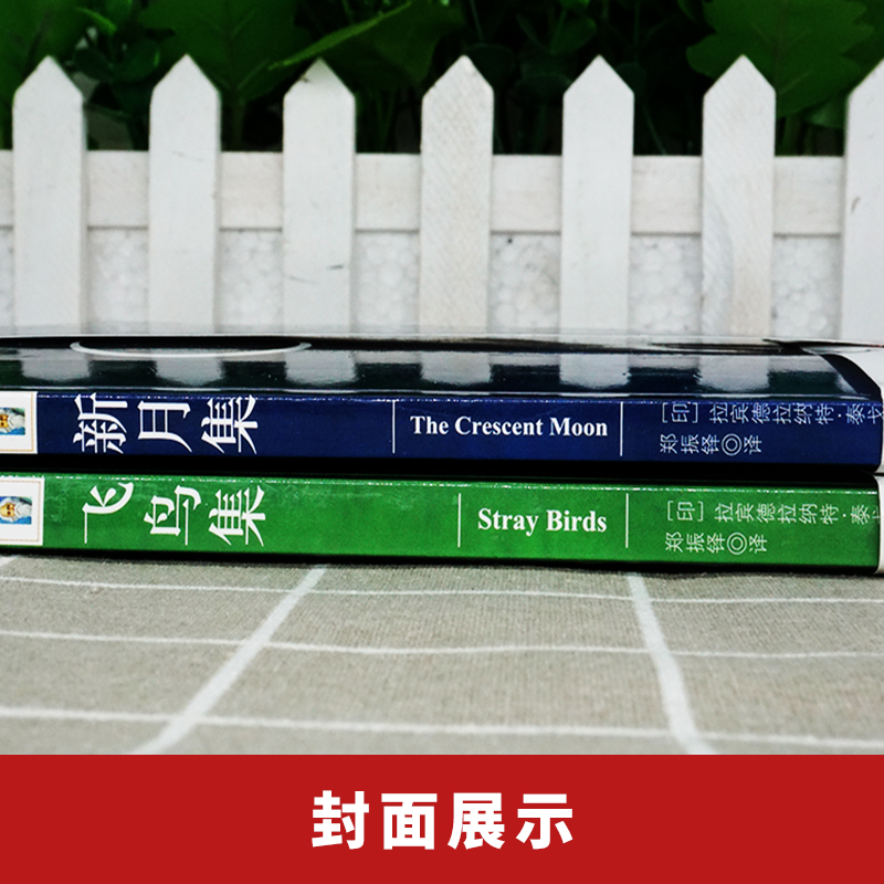 飞鸟集 新月集 [正版]扫码听音频新月集飞鸟集 英汉对照注释版双语版 泰戈尔外国小说故事中小学生阅读世界名著现当代文学畅高清大图
