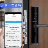 智能门锁 Q05C级锁芯 指纹锁电子锁家用门锁 防盗门锁密码锁 锁滴 黑色亮面