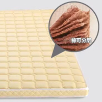 风雷顺椰棕床垫家用棕垫D6cm高密度款(织锦面料+高密度0胶水天然椰棕)1200mm*2000mm