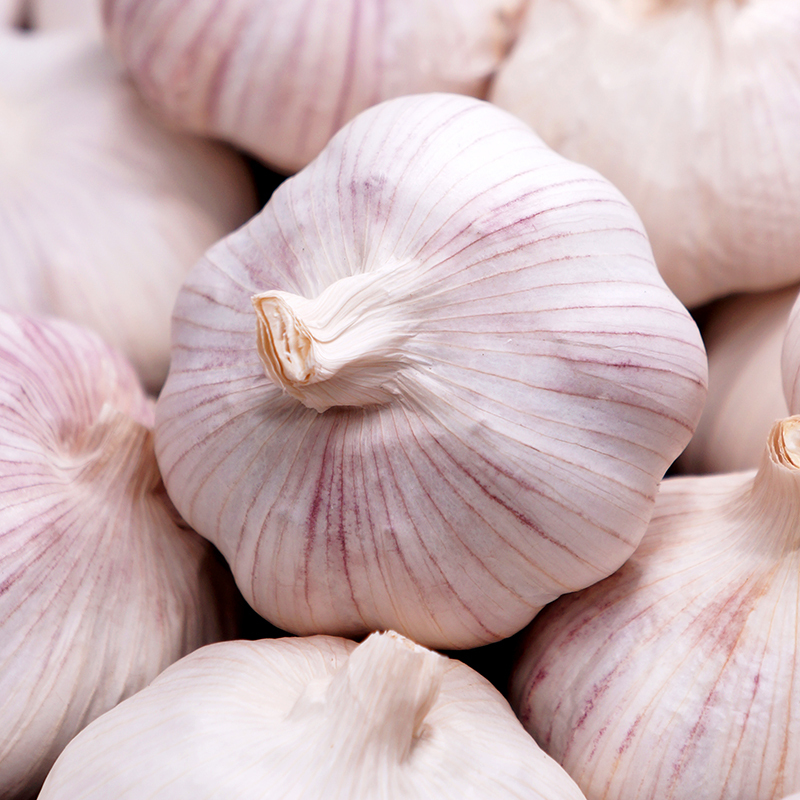 赛卡伊 山东大蒜新鲜大蒜头5斤干蒜种籽 当季蔬菜批