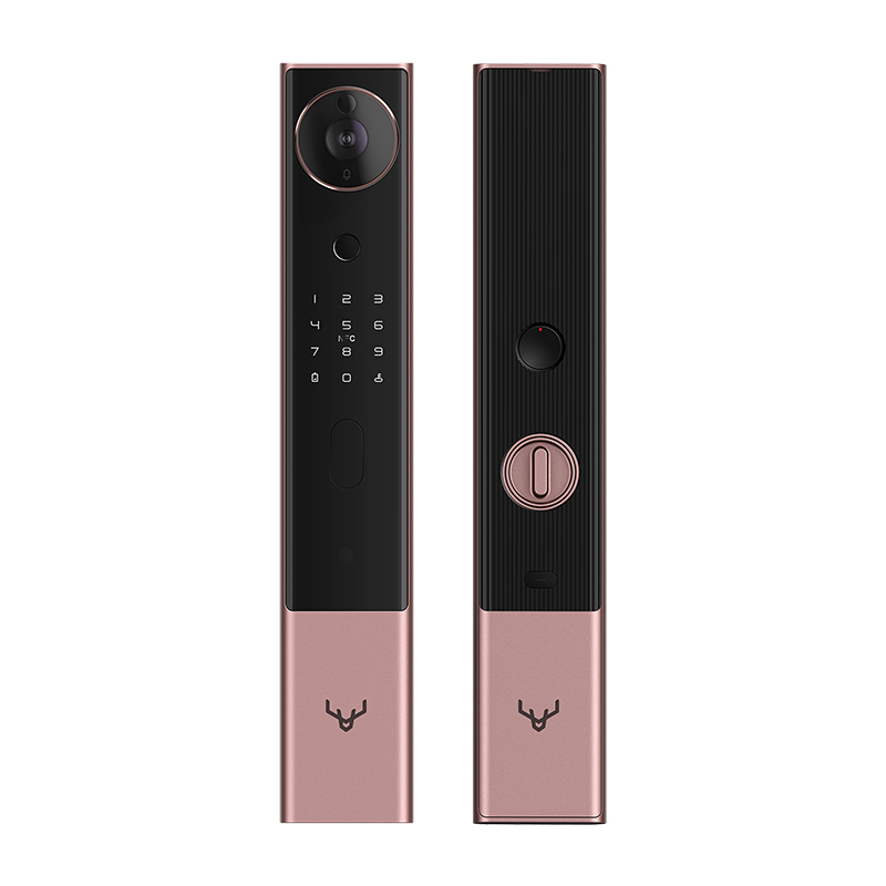 鹿客(loock)智能锁 R1M 磨砂金 全自动可视猫眼推拉智能门锁 家用指纹锁密码锁含夜视功能 小米米家智能联动