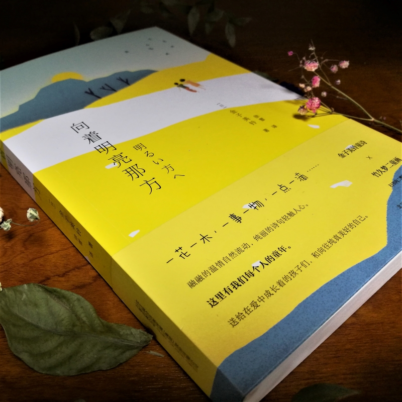 [正版] 向着明亮那方 万卷出版公司 [日]金子美铃 著 徐蕾 译 著 徐蕾 译 外国诗歌高清大图