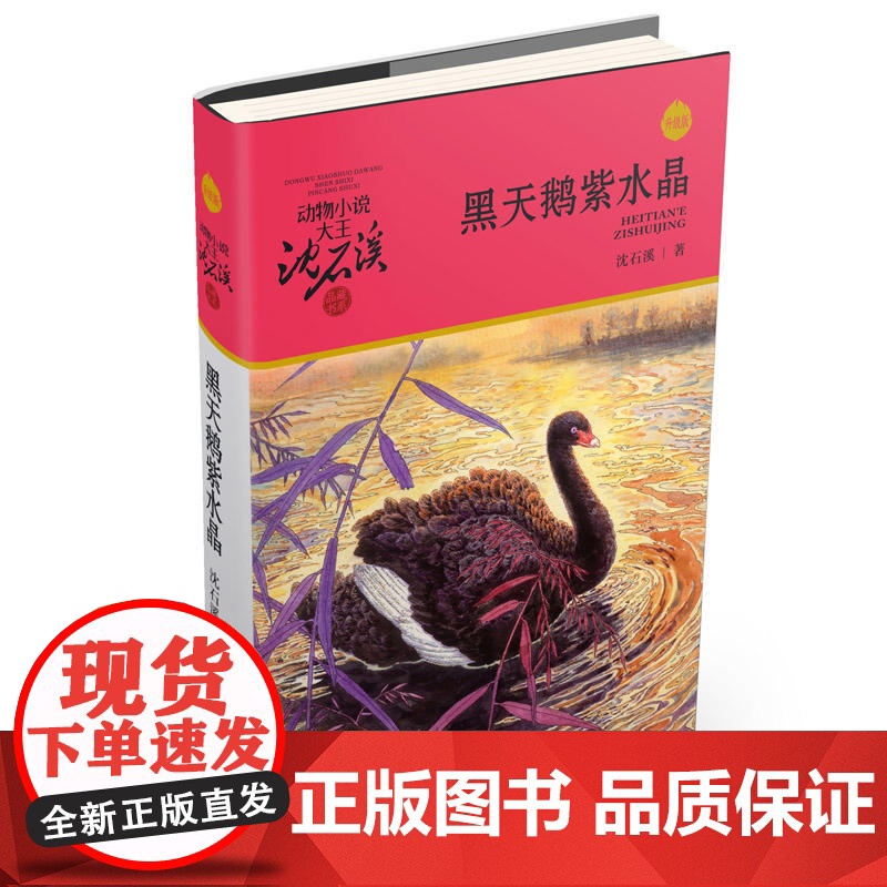 黑天鹅紫水晶 升级版 动物小说大王沈石溪品藏书系 正版 四年级课外阅读书目 小学生儿童文学 课外读物书籍高清大图