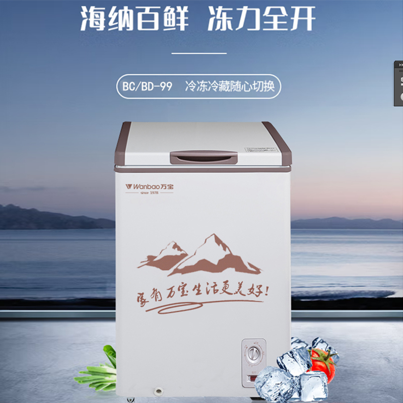 万宝(Wanbao)BC/BD-99 卧式冷柜 冷藏冷冻冷柜 单温节能迷你小冰柜家用线下冰箱
