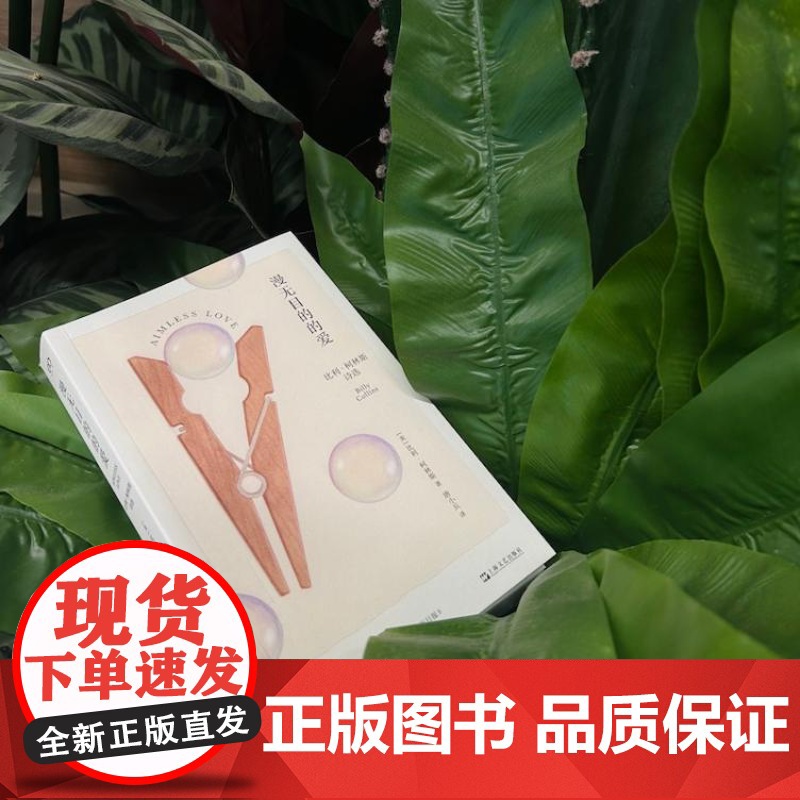 漫无目的的爱 比利柯林斯诗选美国桂冠诗人柯林斯作品香港中文大学文学院院长唐小兵译美国文学诗歌艺术上海文艺出版社艺文志高清大图