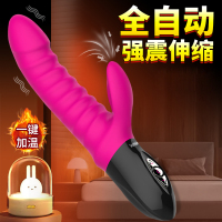 雷霆(LETEN)冲击棒